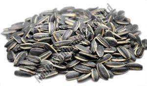 Sunflower Seeds For Oil Making