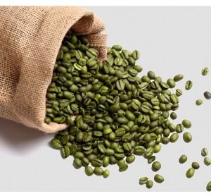 Green Coffee Beans, Variety : Robusta