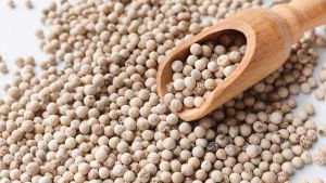 Raw White Pepper Seeds For Cooking