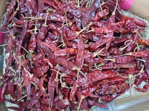 Dried Chillies