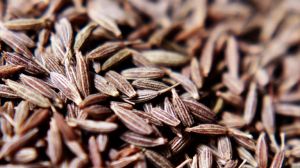 Blended Natural Cumin For Cooking