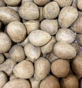 Dried Coconut