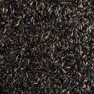 Natural Niger Seeds