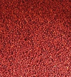 Natraj Sortes Natural Ragi Seeds, Packaging Size : 30 Kg