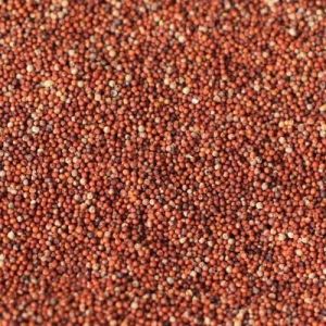 Unpolished Ragi Seeds