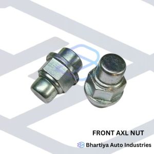 Bajaj Re Compact Front Axle Nut For Automobile Industry