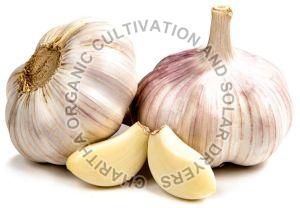 Fresh Organic Garlic For Human Consumption, Cooking