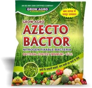 Powder Azotobacter Bio Fertilizer