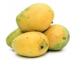 Organic Fresh Banganapalli Mango, Color : Yellow