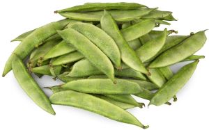 Organic Fresh Broad Beans For Cooking