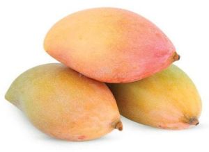 Organic Fresh Totapuri Mango