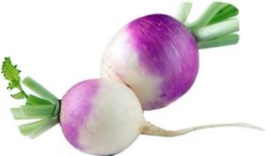 Fresh Turnip For Cooking