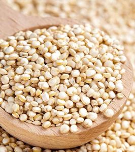 Quinoa Seeds