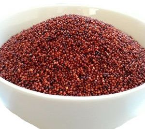 Organic Ragi Millet Seeds, Packaging Type : PP Bag