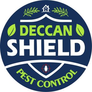 Perfect Cockroach Control Services In Hyderabad Near Me | DS