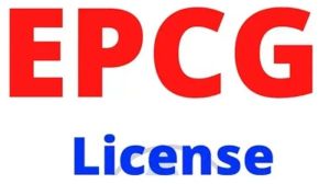 Epcg License Consultant Service