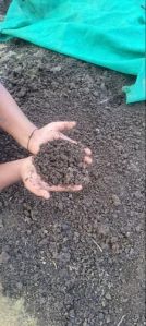 Garden Potting Soil