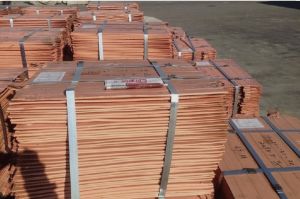 copper cathodes, Brand Name : Origin Congo/Zambia