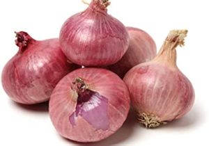 Onion