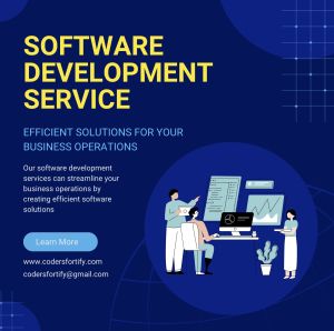 software development service