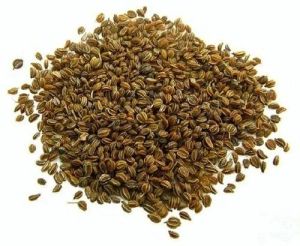 Celery Seeds For Cooking, Cooking