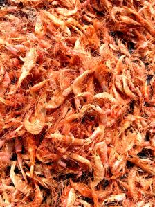 Dry Shrimps