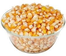 Dried Yellow Corn Seed