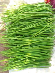 Moringa, Color : Green