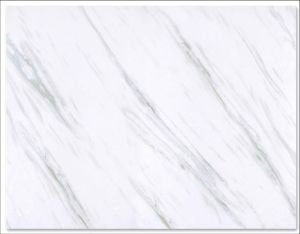 RA8038 PVC Marble Sheet