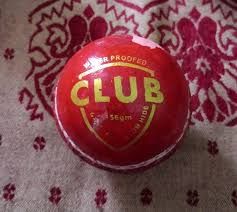 Leather Cricket Balls