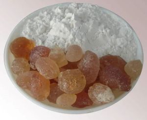 Food Additives & Ingredients