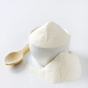 Goat Milk Powder