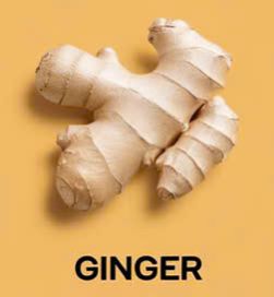 Ginger