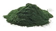 spirulina powder