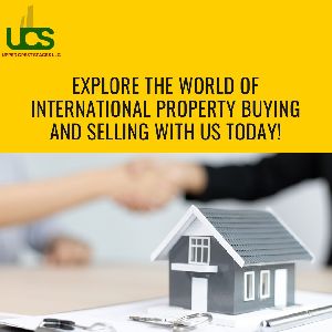 International Property Consultant