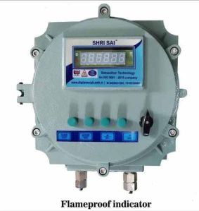 CMRI Flameproof Weighing Indicator