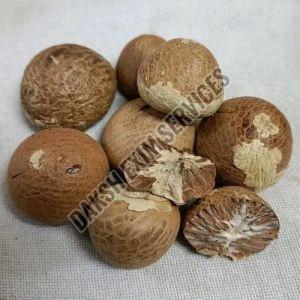 Dried Betel Nuts, Packaging Type : PP Bag