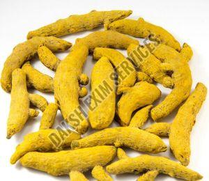 Nizamabad Turmeric Finger For Cooking