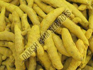 Rajapuri Turmeric Finger For Cooking