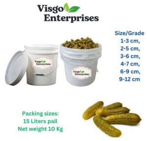 Fresh Pickle Cucumber 10 Kg, Packaging Type : Pails