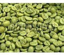 Green Coffee Beans, Packaging Type : Aluminium Foil Bag, Bottle, Jute Bag, Plastic Container, Vacuum Packed