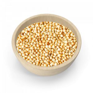 Milky White Sorghum Seeds For Human Consumption