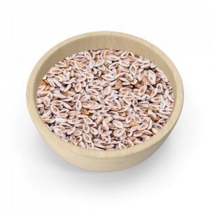 Organic Psyllium Husk Seeds, Packaging Size : 5-25kg