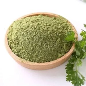 Dehydrated Coriander Leaves Powder, Packaging Size : 5-10kg