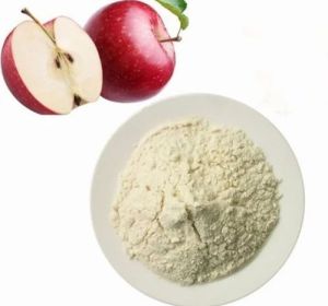 Dehydrated Apple Powder, Packaging Type : Bag