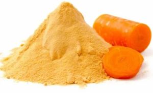 Spray Dried Carrot Powder, Packaging Size : 10 Kg