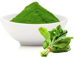 Spray Dried Spinach Powder, Packaging Size : 10 Kg