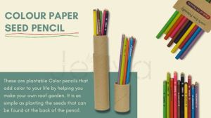 Jeeva Plantable Seed Pencil, Packaging Type : Plastic Packet