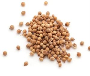 Natural Brown Coriander Seeds For Spices