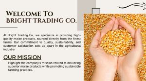 Organic Yellow Maize Seeds For Human Consumption